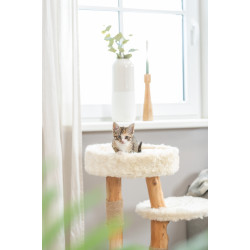 Trixie Albero per gatti Santo alto 73 cm per gatti Albero per gatti