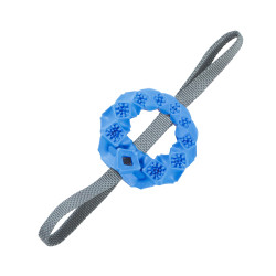 zolux Spielzeug TPR-Kreis mit blauen Leckerlis ø 12x 36 cm für Hunde Spiele a Belohnung Süßigkeit