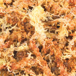 Trixie Muschio di sfagno 100 g 4,5 litri rettili I substrati