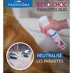 Francodex Ecto Choc Parasites duo 290 ml disinfestante per cani, gatti e casa Diffusore di disinfestazione per la casa