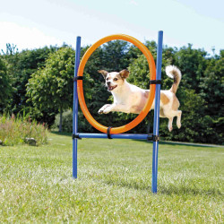 Trixie Anel de agilidade 115 × ø 3 cm, ø 65 cm para cães Cão de agility
