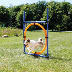Trixie Agility-Ring 115 × ø 3 cm, ø 65 cm für Hunde Agility Hund