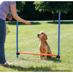 Trixie Agility-Hindernis für Hunde 123 × 115 cm, ø 3 cm Agility Hund