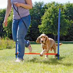 Trixie Agility-Hindernis für Hunde 123 × 115 cm, ø 3 cm Agility Hund