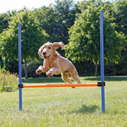 Trixie Obstáculo do cão de agility 123 × 115 cm, ø 3 cm Cão de agility