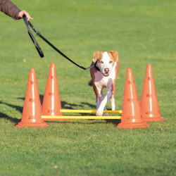 Trixie Conjunto de obstáculos caninos - 4 cones - agilidade Cão de agility