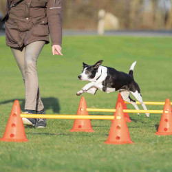 Trixie zestaw przeszkód agility, 6 pachołków dla psów Agility chien