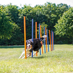 Trixie Slalom de agilidad para perros ø 3 × 115 cm Perro de agilidad