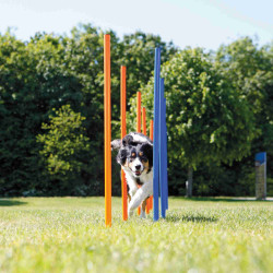 Trixie Agility slalom per cani ø 3 × 115 cm Agility dog