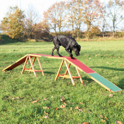 Trixie Dogwalk drewniany chodnik agility dla psów Agility chien