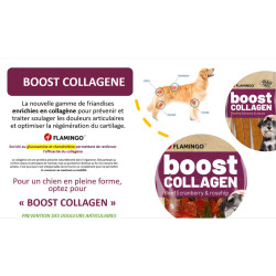 Flamingo Boost Wurst-Snacks mit Huhn & Kollagen 600 g für Hunde Kau-Süßigkeit