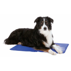 Trixie Tapete de arrefecimento XL 90 x 50 cm azul para cães Tapete de arrefecimento
