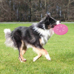 Trixie Flash Dog Disc Frisbee Toy 20 cm für Hunde Frisbees für Hunde