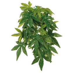 Trixie Roślina tkaninowa do zawieszenia 30 cm, z przyssawką, Abutilon, dla gadów lub płazów Décoration et autre